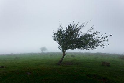 Allerta meteo 24 MAGGIO 2023 rischio idro-meteo