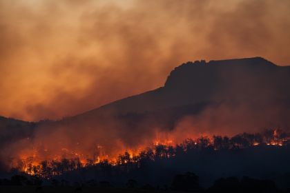 Stato di alto rischio di incendio boschivo