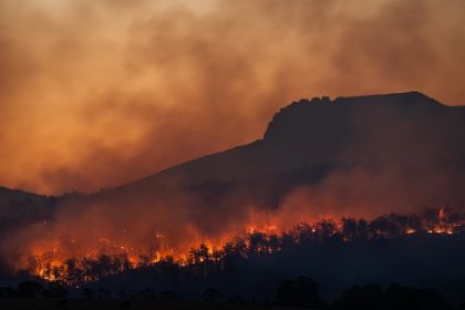 Stato di alto rischio di incendio boschivo Stato di alto rischio di incendio boschivo